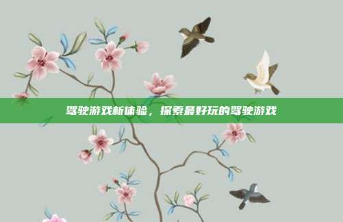 驾驶游戏新体验,探索最好玩的驾驶游戏
