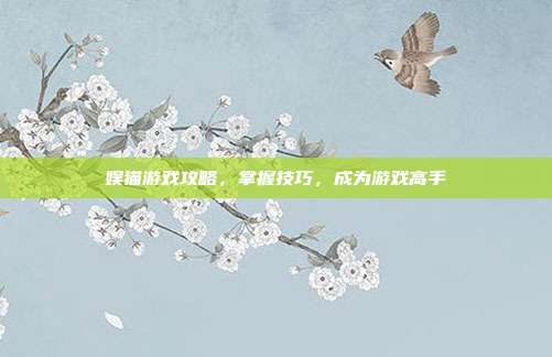 娱猫游戏攻略,掌握技巧,成为游戏高手