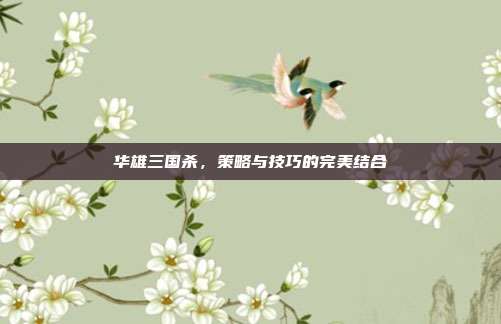 华雄三国杀，策略与技巧的完美结合