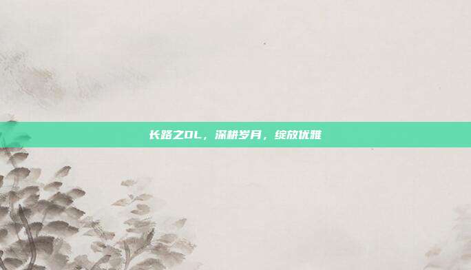 长路之OL，深耕岁月，绽放优雅