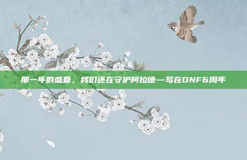 那一年的盛夏，我们还在守护阿拉德—写在DNF6周年