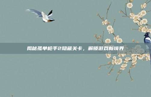 揭秘孤单枪手2隐藏关卡,解锁游戏新境界