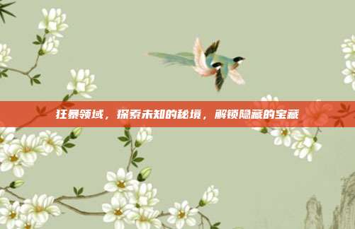 狂暴领域,探索未知的秘境,解锁隐藏的宝藏