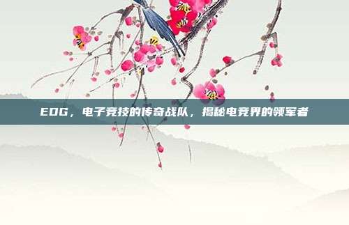 EDG，电子竞技的传奇战队，揭秘电竞界的领军者