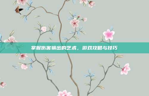 掌握伤害输出的艺术,游戏攻略与技巧