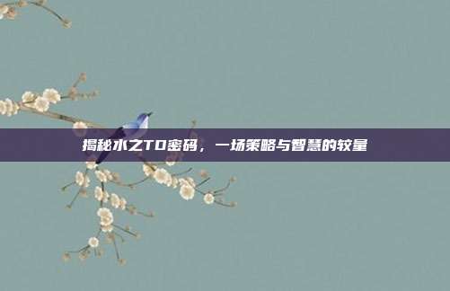 揭秘水之TD密码,一场策略与智慧的较量