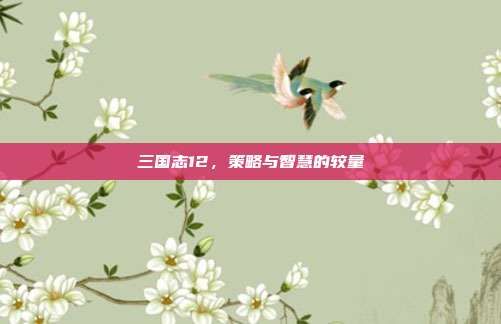 三国志12,策略与智慧的较量
