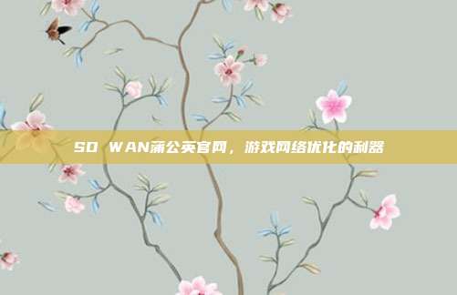 SD WAN蒲公英官网,游戏网络优化的利器