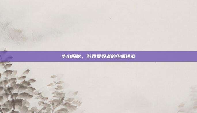 华山探秘,游戏爱好者的终极挑战
