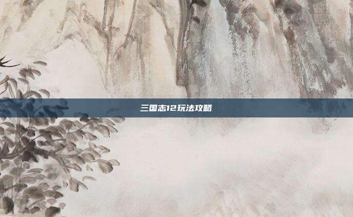 三国志12玩法攻略