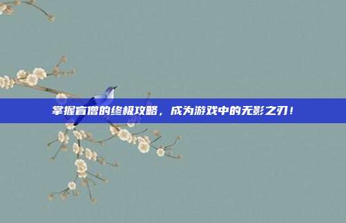 掌握盲僧的终极攻略，成为游戏中的无影之刃！