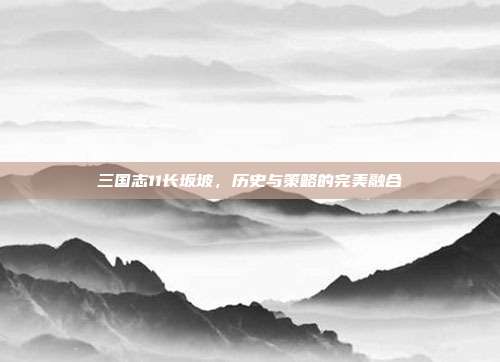三国志11长坂坡,历史与策略的完美融合