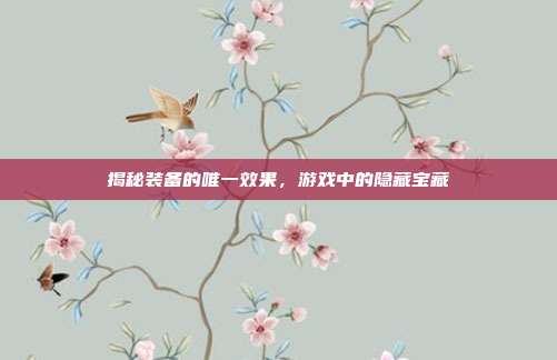 揭秘装备的唯一效果,游戏中的隐藏宝藏