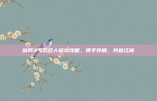 剑网3丐帮双人轻功攻略,携手并肩,共赴江湖