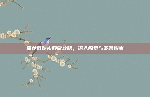 黑龙教秘密殿堂攻略,深入探索与策略指南