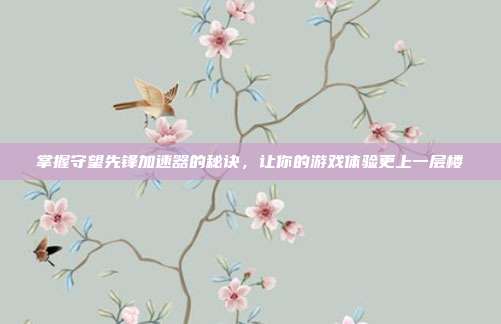 掌握守望先锋加速器的秘诀,让你的游戏体验更上一层楼
