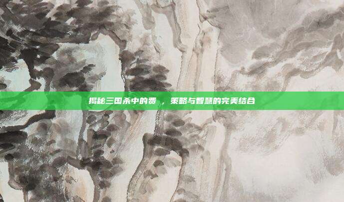 揭秘三国杀中的费祎,策略与智慧的完美结合