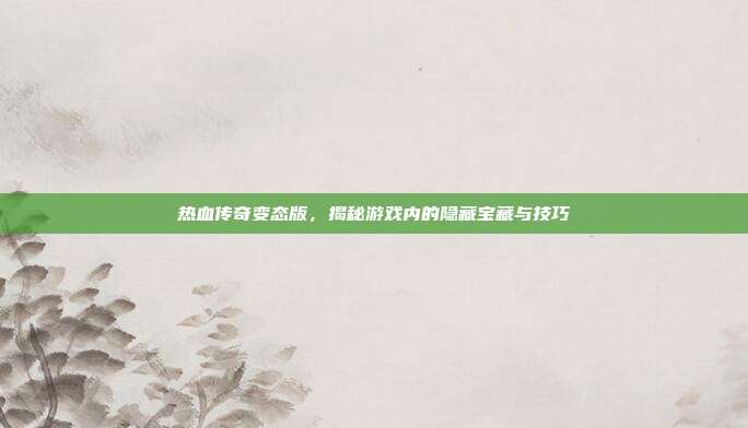 热血传奇变态版,揭秘游戏内的隐藏宝藏与技巧