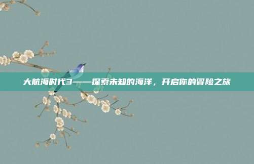 大航海时代3——探索未知的海洋,开启你的冒险之旅