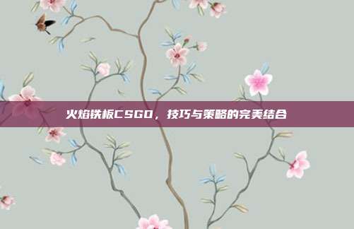 火焰铁板CSGO，技巧与策略的完美结合