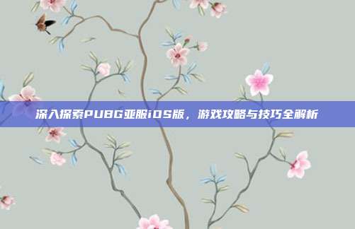 深入探索PUBG亚服iOS版,游戏攻略与技巧全解析