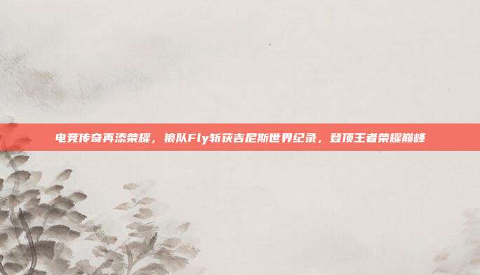 电竞传奇再添荣耀，狼队Fly斩获吉尼斯世界纪录，登顶王者荣耀巅峰