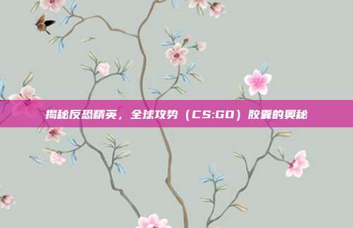 揭秘反恐精英，全球攻势（CS:GO）胶囊的奥秘