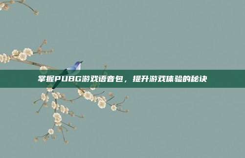 掌握PUBG游戏语音包，提升游戏体验的秘诀