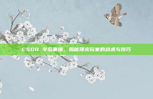 CSGO 冬瓜集锦，揭秘顶尖玩家的战术与技巧