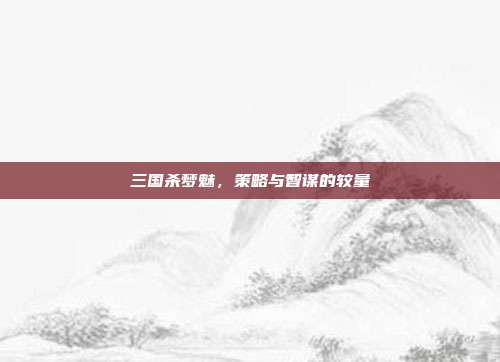 三国杀梦魅，策略与智谋的较量