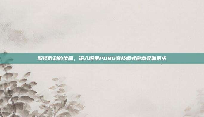 解锁胜利的荣耀,深入探索PUBG竞技模式徽章奖励系统