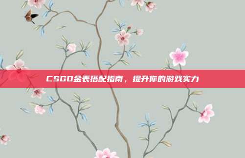 CSGO金表搭配指南,提升你的游戏实力