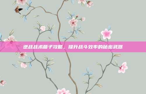 逆战战术箱子攻略,提升战斗效率的秘密武器