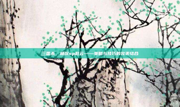三国杀,杨仪sp赵云——策略与技巧的完美结合