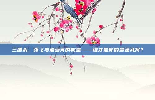 三国杀,张飞与诸葛亮的较量——谁才是你的最强武将?