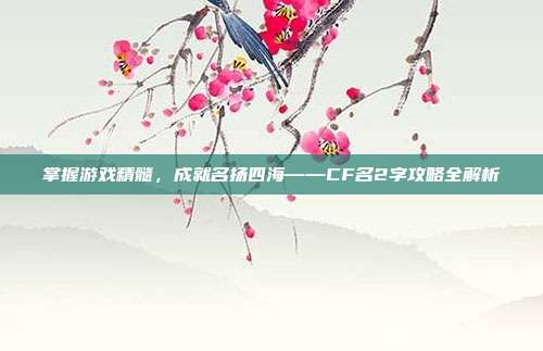 掌握游戏精髓,成就名扬四海——CF名2字攻略全解析