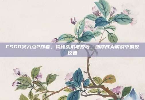 CSGO突入点2作者，揭秘战术与技巧，助你成为游戏中的佼佼者
