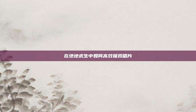 在绝地求生中如何高效摧毁唱片