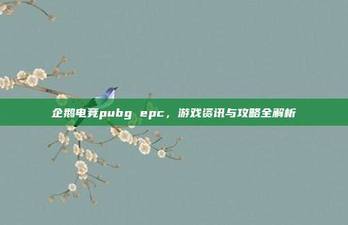企鹅电竞pubg epc,游戏资讯与攻略全解析
