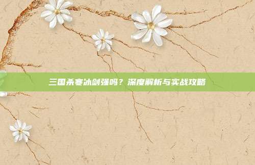 三国杀寒冰剑强吗?深度解析与实战攻略