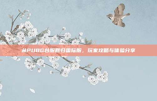 从PUBG台服回归国际服,玩家攻略与体验分享