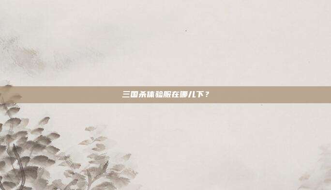 三国杀体验服在哪儿下?