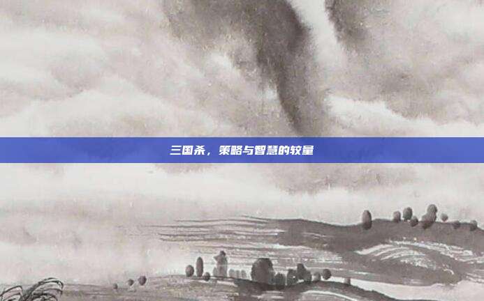 三国杀,策略与智慧的较量