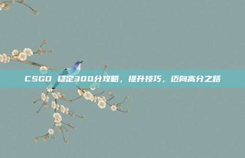 CSGO 稳定300分攻略，提升技巧，迈向高分之路