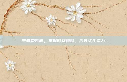 王者荣耀磕,掌握游戏精髓,提升战斗实力